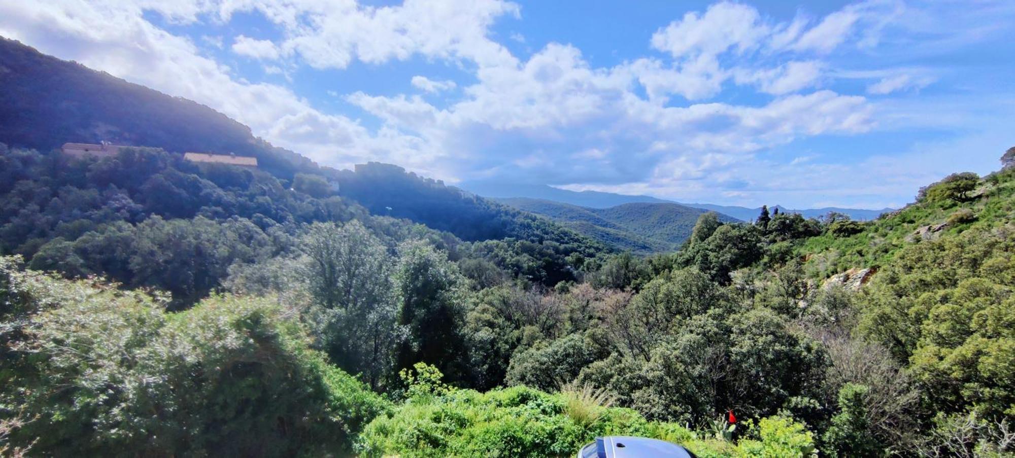 La Vallicella Farinole Quarto foto